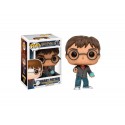 Figurine Harry Potter - Harry With Prophecy Pop 10cm