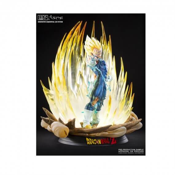 dbz tsume