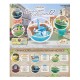 Re-Ment - Pokemon Terrarium Vol.12 - Boite de 6 PCS