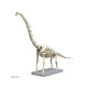 Maquette Dinosaure - Plannosaurus Brachiosaurus 27cm