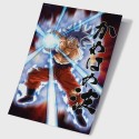 Poster 3D Dragon Ball Z - Universe Survival Goku 40X60cm