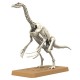 Maquette Dinosaure - Plannosaurus Therizinosaurus