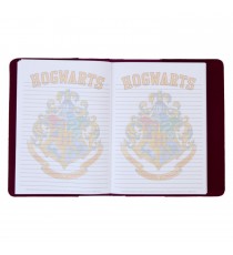 Notebook Journal Harry Potter - Hogwarts Quidditch