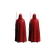 Pack 2 Figurines Star Wars - Royal Guard 20cm