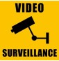 Vidéo-Surveillance