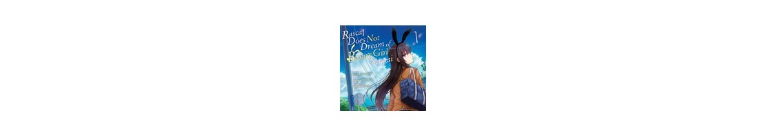 Rascal Does Not Dream of Bunny Girl Senpai